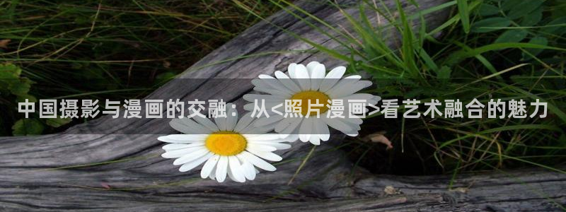 以眼还眼韩漫画在线观看