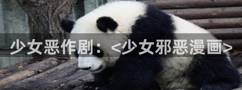 我的女主人韩漫漫画免费观看
