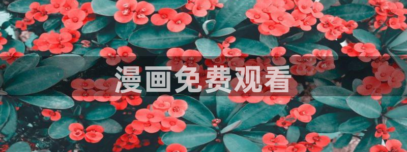 黄色韩漫在线观看
