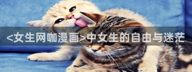 韩漫弱点在线看