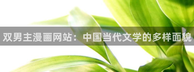 看韩漫的外网