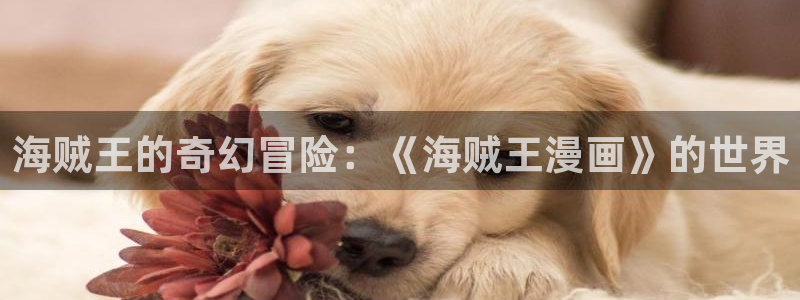 韩漫画全集完整免费