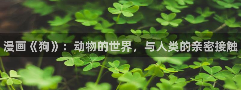 yy漫画人生在线韩漫阅读