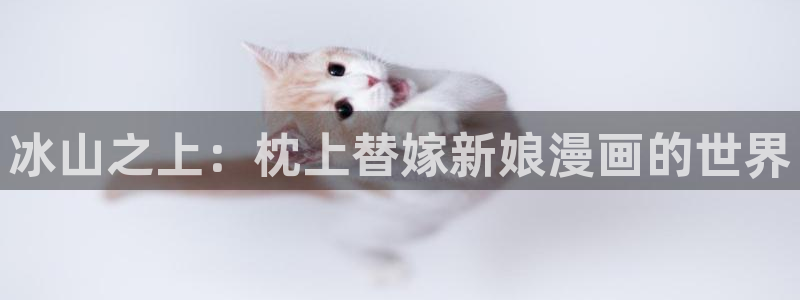 www.韩漫在线：冰山之上：枕上替嫁新娘漫画的世界