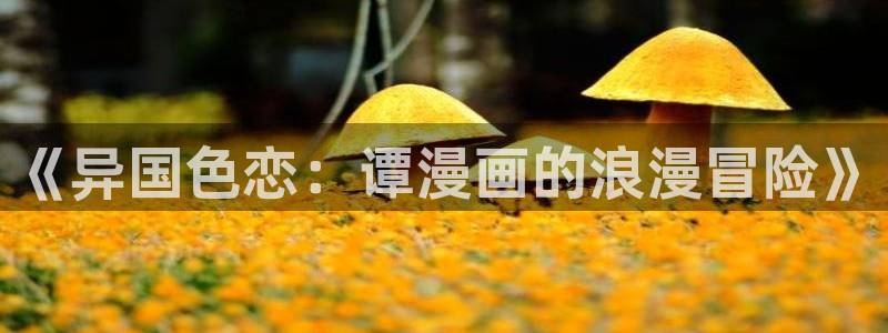 完结韩漫在线观看