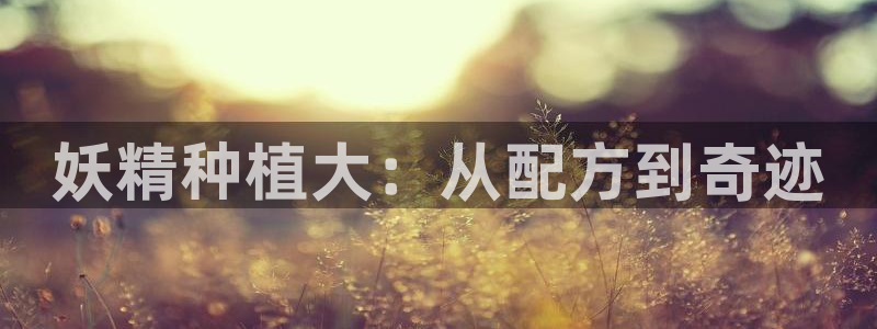 韩漫免费资源