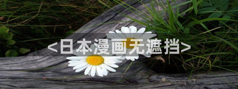 在线免费观看无删减版韩漫