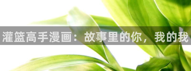 韩漫在线网站免费